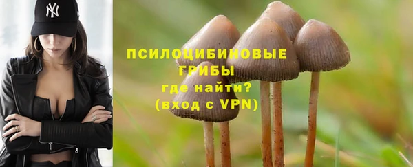 дурь Балахна